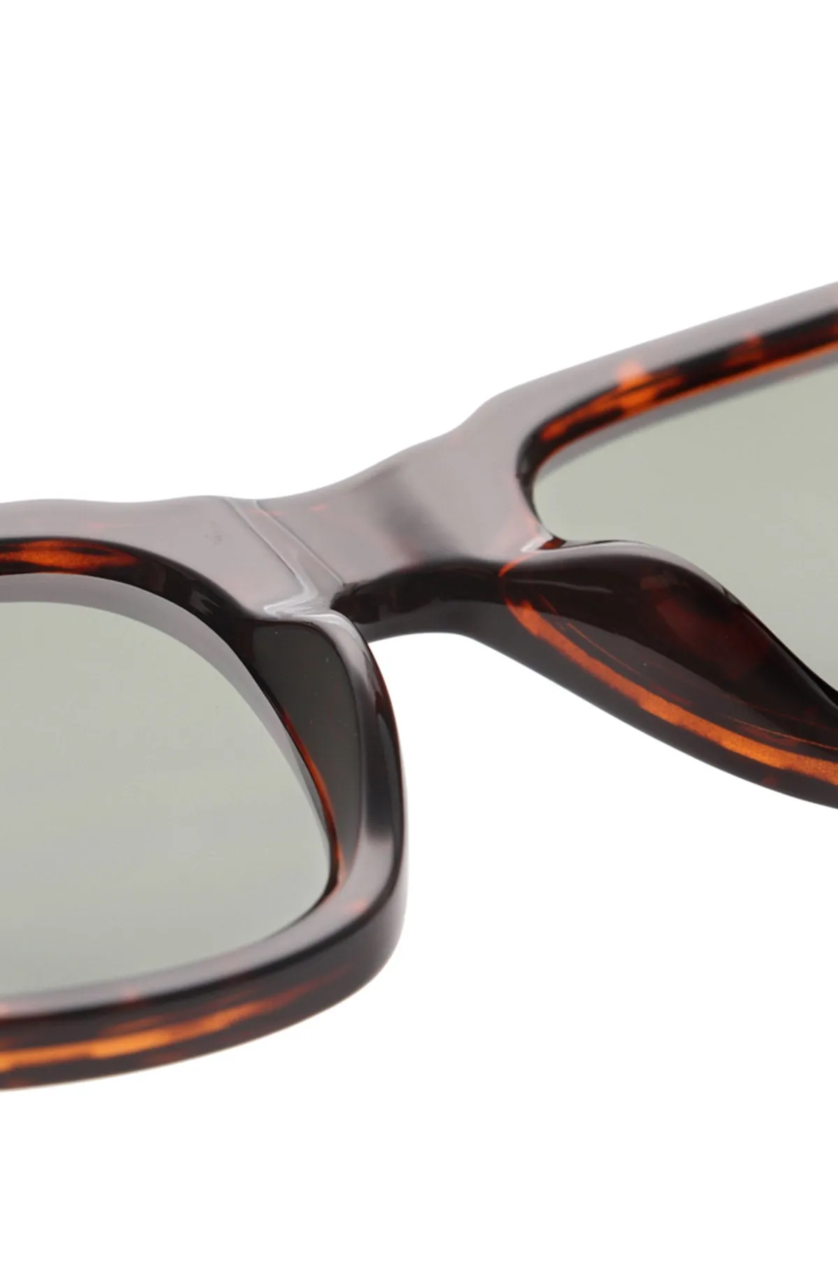 Halo Sunglasses Demi Tortoise