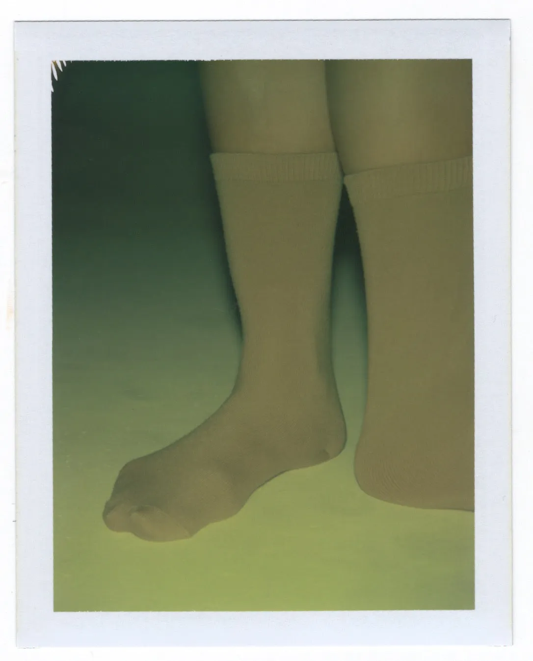 MICROPOLY MID CALF SOCK | OCHRE